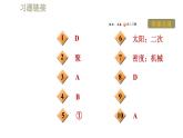 人教版九年级全一册物理习题课件 第22章 22.3太阳能