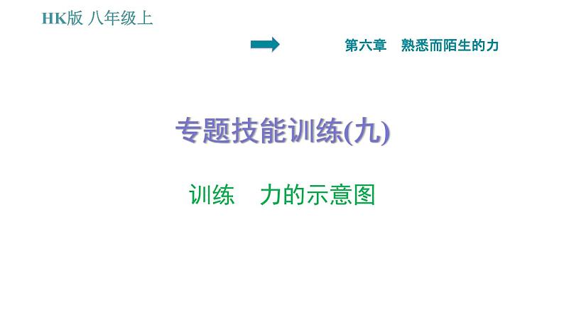 沪科版八年级上册物理习题课件 第6章 专题技能训练(九)  训练 力的示意图01