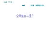 沪科版八年级上册物理习题课件 第6章 全章整合与提升