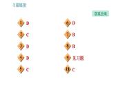 沪科版八年级上册物理习题课件 第6章 6.2 怎样描述力