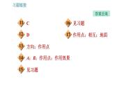 沪科版八年级上册物理习题课件 第6章 6.2 怎样描述力