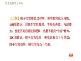 人教版九年级全一册物理习题课件 第18章 全章高频考点专训