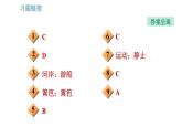 沪科版八年级上册物理习题课件 第2章 专题技能训练(一)训练1 参照物 动与静