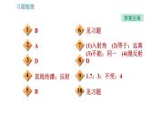 沪科版八年级上册物理习题课件 第4章 全章整合与提升
