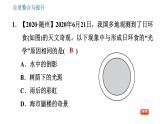 沪科版八年级上册物理习题课件 第4章 全章整合与提升