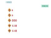 沪科版八年级上册物理习题课件 第3章 3.3 超声与次声