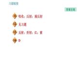 沪科版八年级上册物理习题课件 第4章 4.4 光的色散