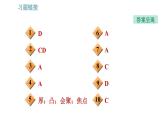 沪科版八年级上册物理习题课件 第4章 4.5.1 透镜及其基本应用