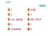 沪科版八年级上册物理习题课件 第4章 4.1.1 光的直线传播