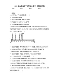 2021年山东省济宁市邹城市中考一模物理试题（word版 含答案）