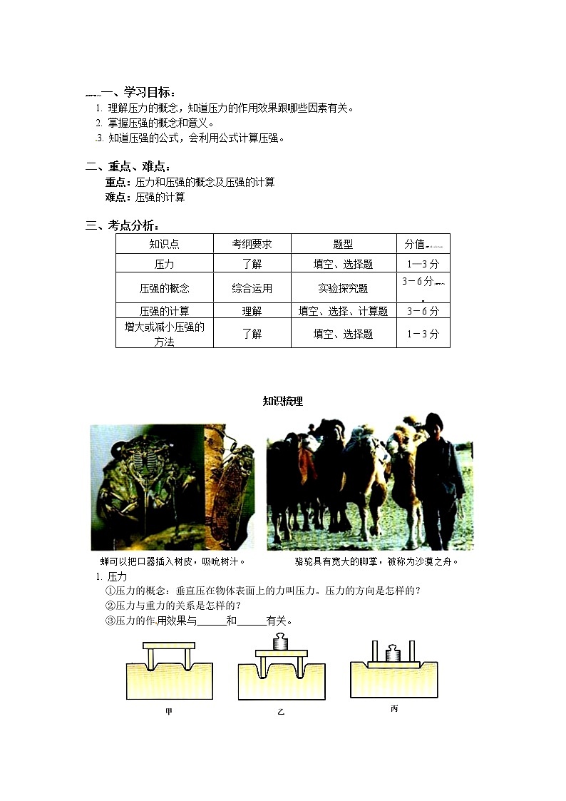 2020中考人教版物理 专题复习 教案：压强(1)01