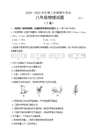 山东省临沂市临沭县2020-2021学年八年级上学期期末考试物理试题（word版 含答案）