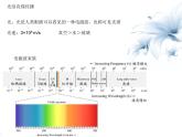 3.光现象 课件