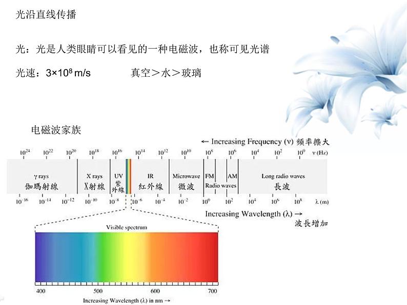 3.光现象第2页