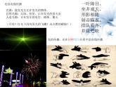 3.光现象 课件