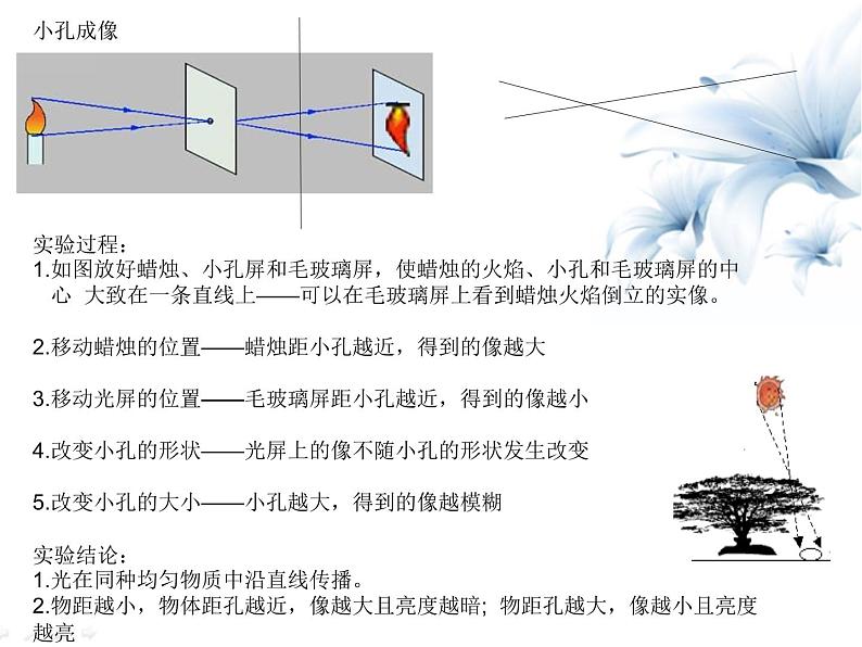 3.光现象第6页