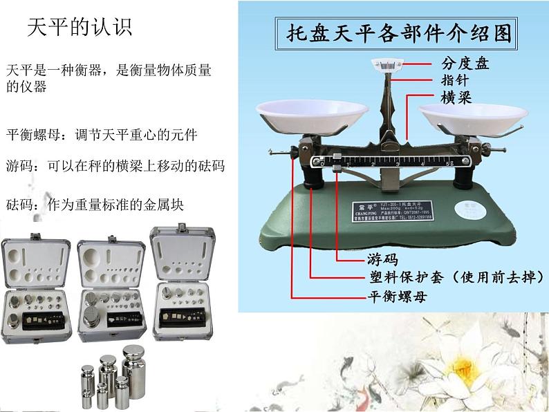 4.质量与密度第3页