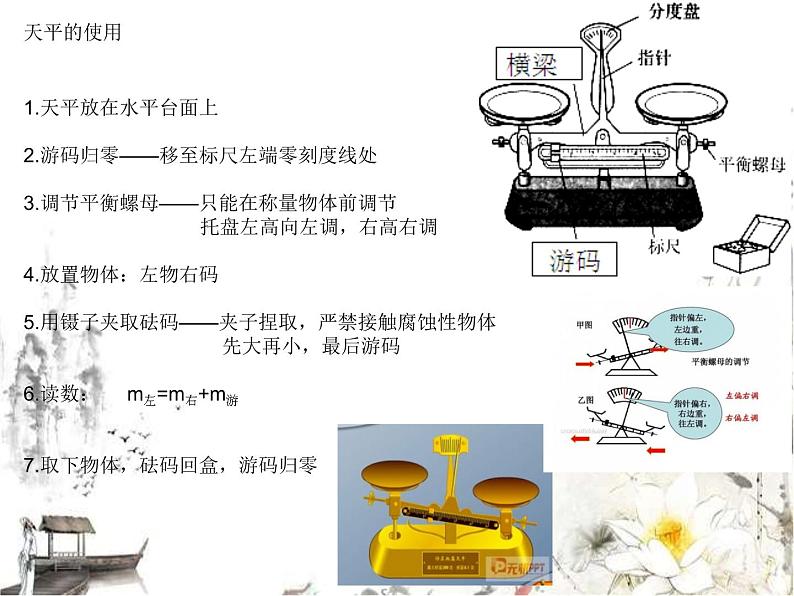 4.质量与密度第4页