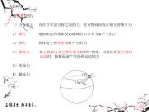6.力-重力与弹力 课件