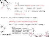 6.力-重力与弹力 课件