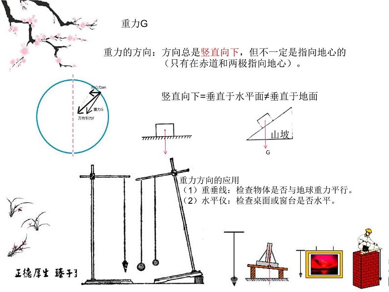 6.力-重力与弹力第5页