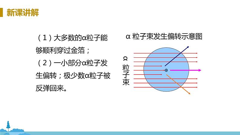 鲁教版化学九年级上册 2.3《原子的构成》PPT课件第8页