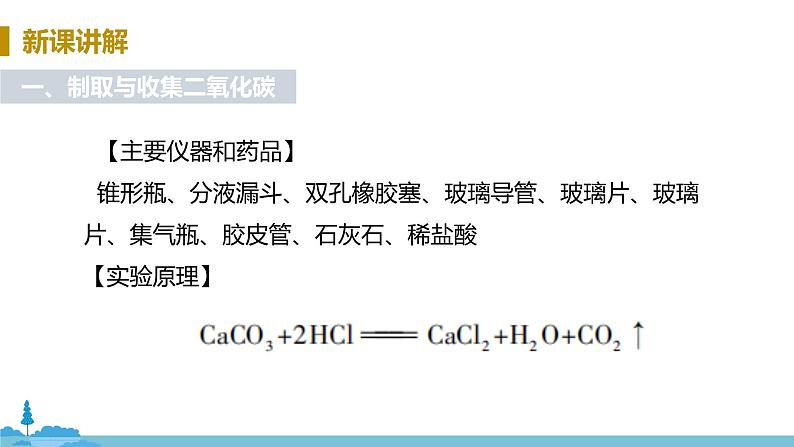 鲁教版化学九年级上册 《到实验室去：二氧化碳的实验室制取及性质》PPT课件05