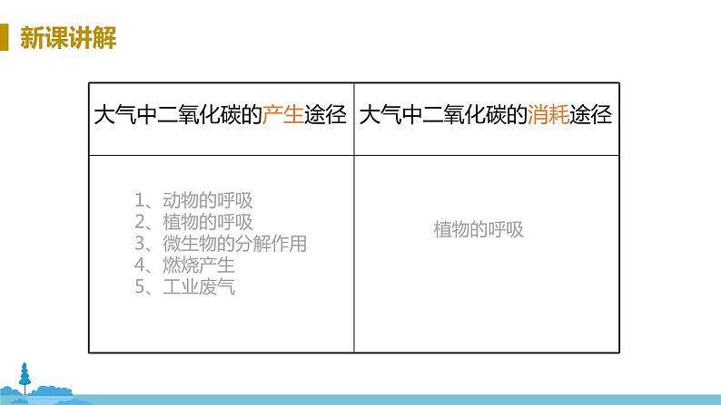 鲁教版化学九年级上册 6.3《 大自然中的二氧化碳》PPT课件06