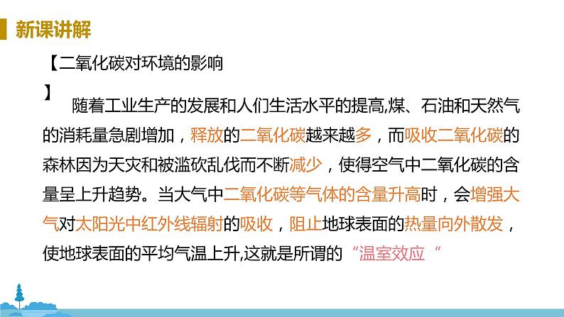 鲁教版化学九年级上册 6.3《 大自然中的二氧化碳》PPT课件08