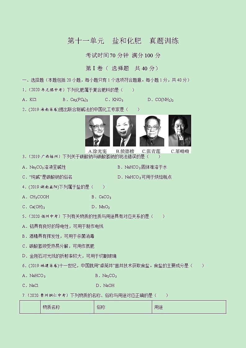 第十一单元  盐  化肥【真题训练】学年九年级化学下册单元复习一遍过（人教版）（原卷版）第1页