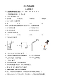 九年级上学期期末化学试题（原卷及解析卷）