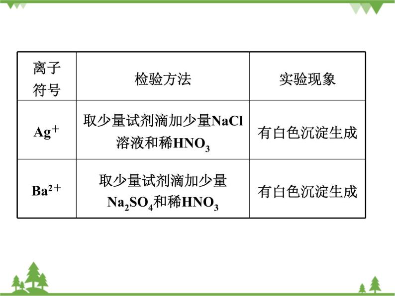 专题三  物质的检验、鉴别和共存  ppt课件08