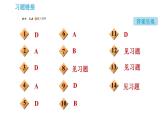 魯教版九年級上冊化學(xué)習(xí)題課件 第6單元 6.2 化石燃料的利用