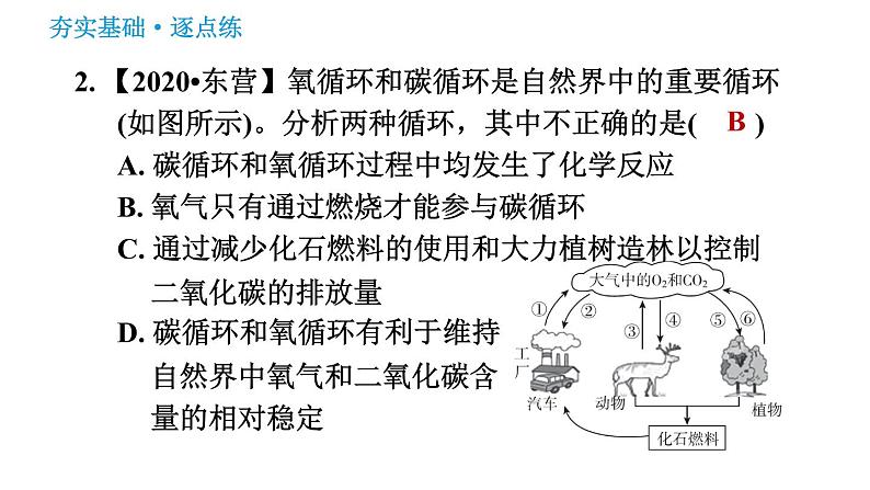 鲁教版九年级上册化学习题课件 第6单元 6.3 大自然中的二氧化碳第4页