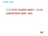鲁教版九年级上册化学习题课件 第6单元 6.3 大自然中的二氧化碳