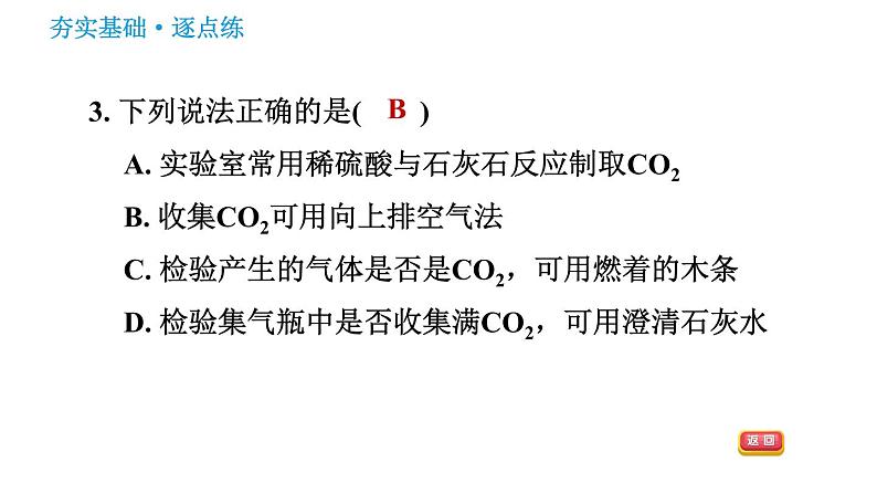 鲁教版九年级上册化学习题课件 第6单元 6.3 大自然中的二氧化碳第6页