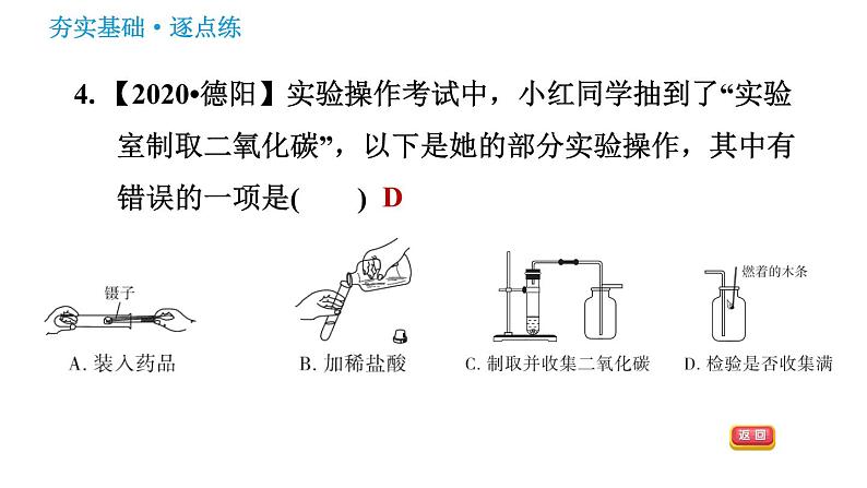 鲁教版九年级上册化学习题课件 第6单元 6.3 大自然中的二氧化碳第7页