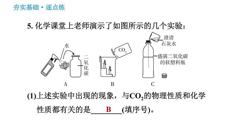 鲁教版九年级上册化学习题课件 第6单元 6.3 大自然中的二氧化碳第8页