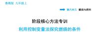 鲁教版九年级上册到实验室去：探究燃烧的条件习题ppt课件