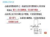 鲁教版九年级上册化学习题课件 第6单元 阶段核心方法专训 利用控制变量法探究燃烧的条件