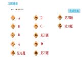 鲁教版九年级上册化学习题课件 第5单元 到实验室去：探究燃烧的条件