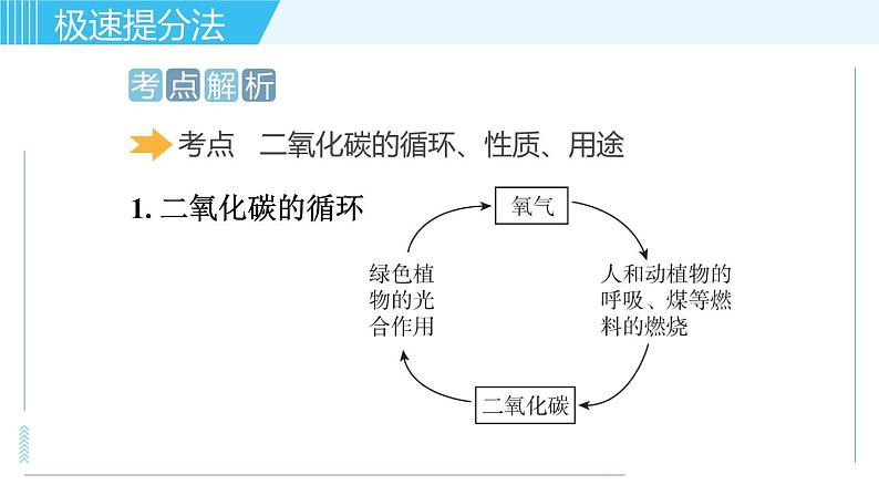 鲁教版九年级上册化学习题课件  专题三 身边的化学物质 第3讲 大自然中的二氧化碳第2页