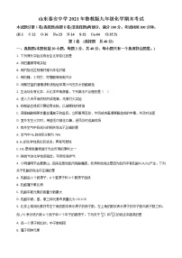 精品解析：山东省泰安市泰山区泰安中学2020-2021学年九年级上学期期末化学试题（解析版）