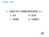 鲁教版九年级下册化学课件 第10单元 10.2 化学元素与人体健康