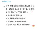 鲁教版九年级下册化学课件 第10单元 单元高频考点专训 专训 化学与健康