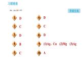 鲁教版九年级下册化学课件 第9单元 单元高频考点专训 专训2 金属活动性顺序的应用