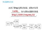 鲁教版九年级下册化学课件 第8单元 单元高频考点专训 专训2 海洋资源的综合利用0
