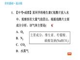 鲁教版九年级下册化学课件 第8单元 8.3.2 盐的化学性质及复分解反应的实质0