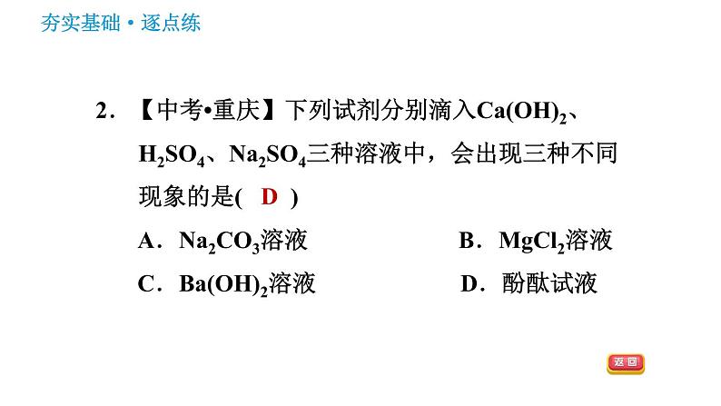 鲁教版九年级下册化学课件 第8单元 8.3.2 盐的化学性质及复分解反应的实质005