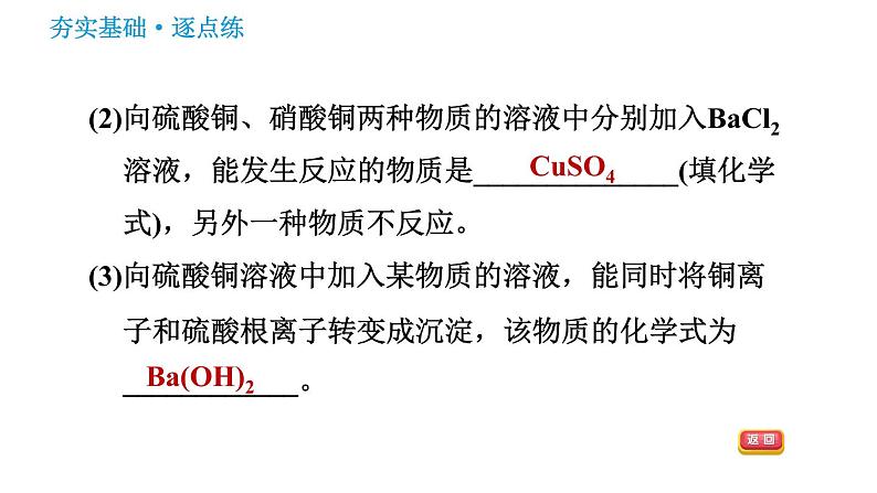 鲁教版九年级下册化学课件 第8单元 8.3.2 盐的化学性质及复分解反应的实质008